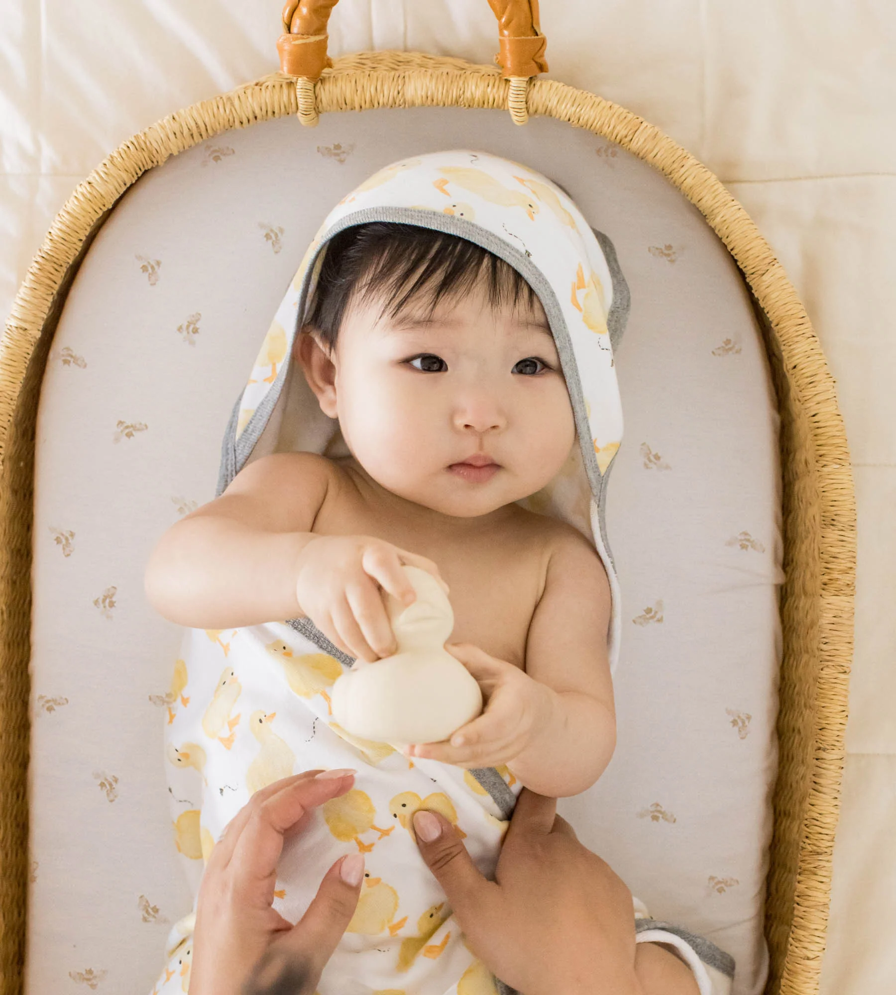 Golden Bee Organic Cotton BEESNUG® Fitted Bassinet Sheet 2 Pack - Image 2