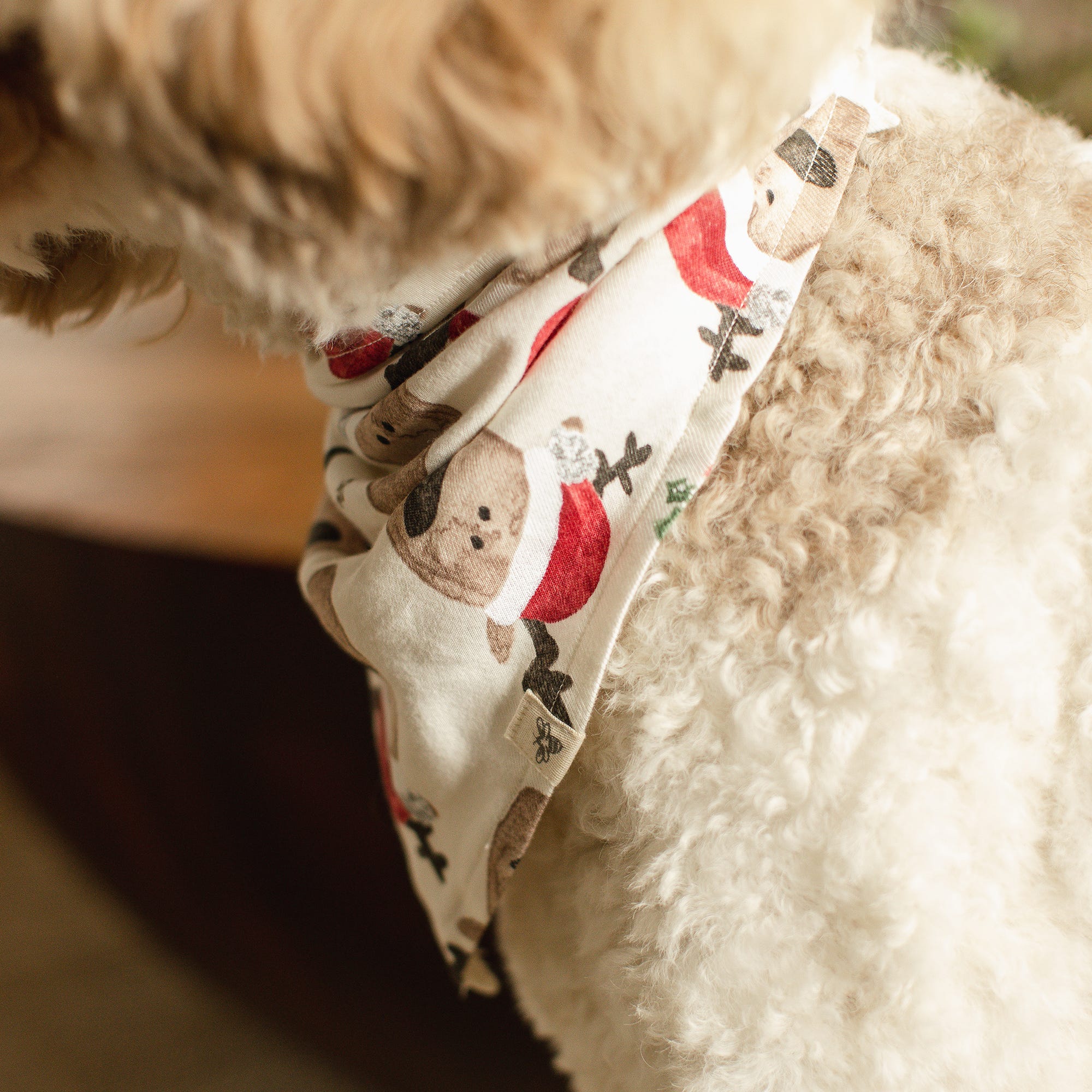 Guide My Sleigh Matching Organic Cotton Men's Pajamas - Image 6
