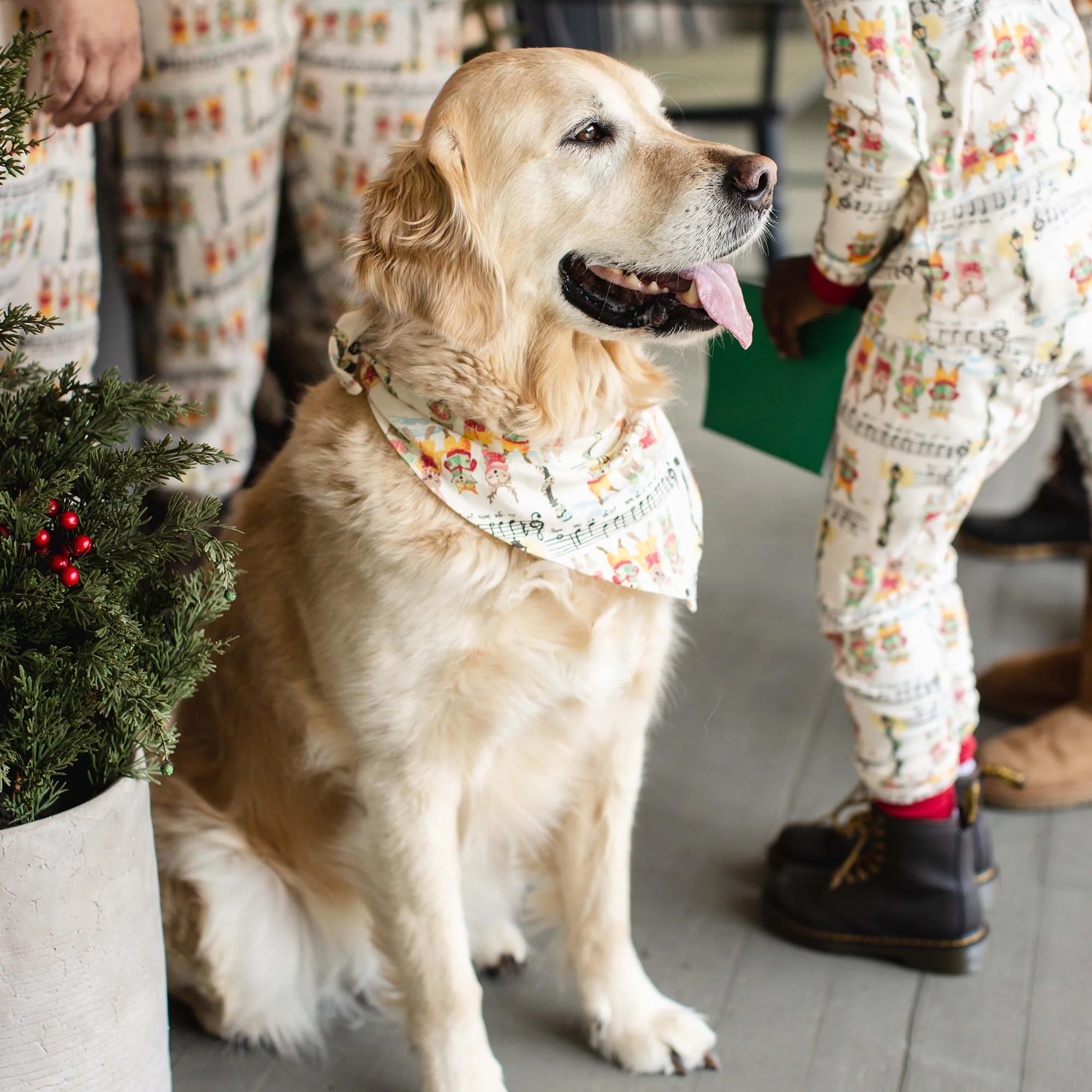 Sweet Carolers Matching Family Pajamas - Image 9